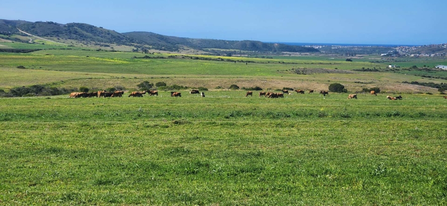 8 Bedroom Property for Sale in Mossel Bay Rural Western Cape